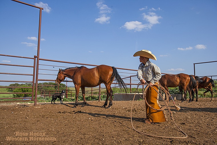 Cutter Jones prepares to throw a hoolihan loop to catch his bay gelding on the Tongue River Ranch near Dumont, Texas. I shot this in 2008 while working on a series of horsemanship articles for our young readers. Cutter and his brothers, along with their dad, Stony Jones, now live on the nearby Pitchfork Ranch. I suspect that by now Cutter has that hoolihan down pat.