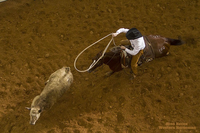 Eric Eichorn of the Waggoner Ranch demonstrates Greyt Big Diamonds at the Best of the Remuda Sale in 2012. The auction in Fort Worth each January features horses consigned by legendary ranches. The 2007 mare sold to the Four Sixes Ranch for $11,500.