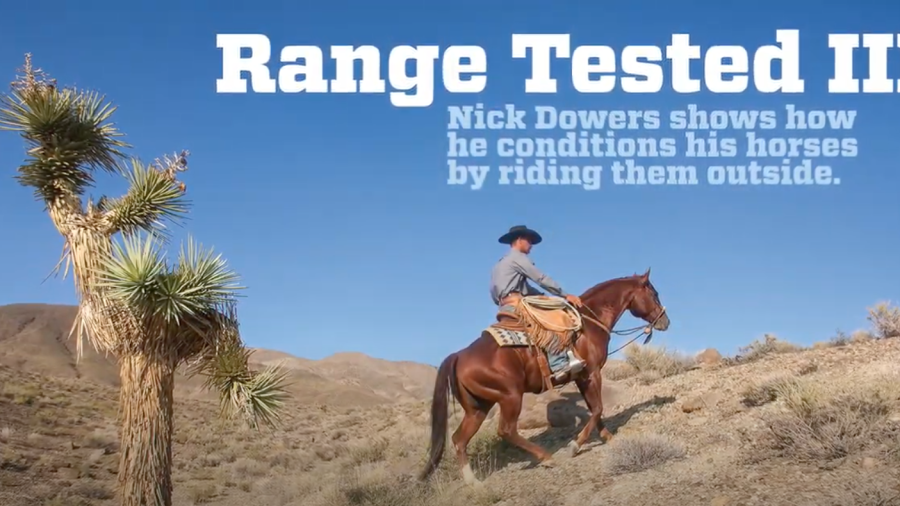 nick dowers