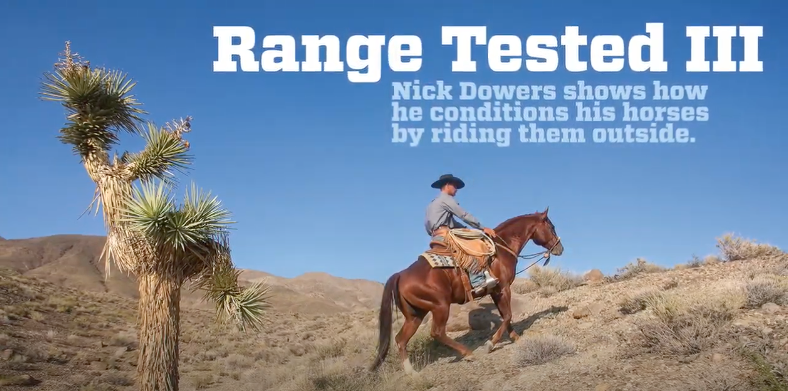 nick dowers
