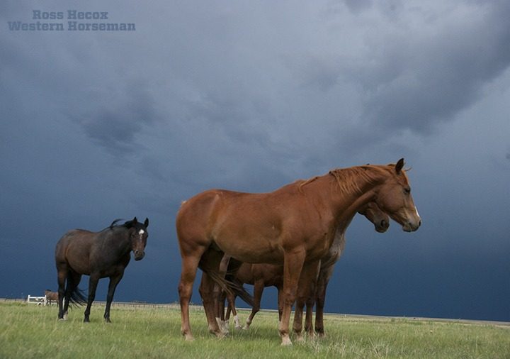 I had been having a tough day on the CS Ranch in Cimarron, New Mexico. Getting photos had been a challenge for a variety of reasons. But as the day came to a close and storm clouds began to gather, scenes I had never imagined began to unfold. Photographer David Stoecklein once told me that bad weather creates some of the greatest photos. He was right. These horses were much more concerned with me than the thunder and strong winds. And by nightfall, everyone was happy to get a rain shower.