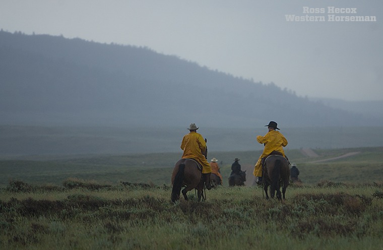 Bill Gentle (left) and Michael Martin visit while trotting in pouring rain. I was attending a clinic in Wyoming taught by Kevin Meyer, and a thunderstorm barreled over the mountains just as we were finishing working cattle. We hurried back to camp to dodge the lightning, and as my mare trotted along, I shot photos of riders in front. I kept my camera semi-dry by holding under my slicker as much as possible. Despite the inclement weather, everyone seemed to enjoy trotting and loping in the rain. It sure resulted in cool photos.