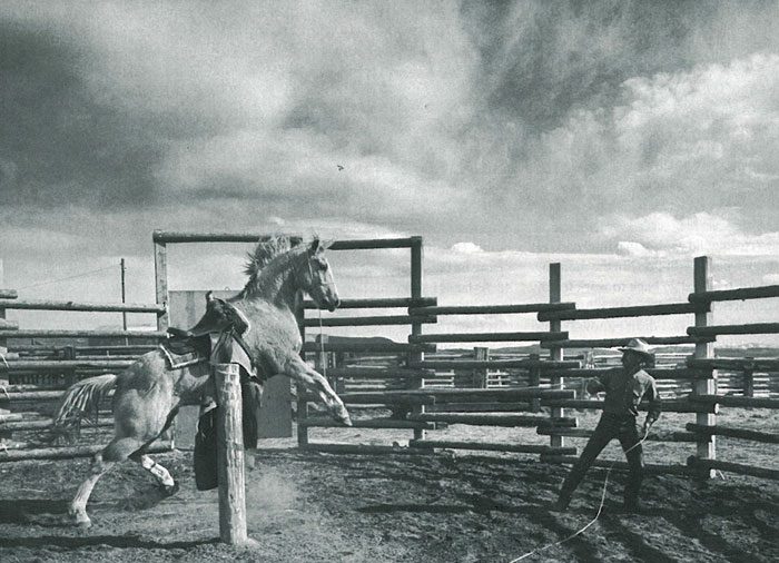 BobbyLynnCuster
