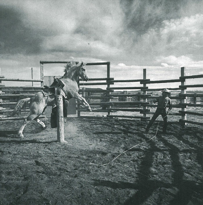 BobbyLynnCuster