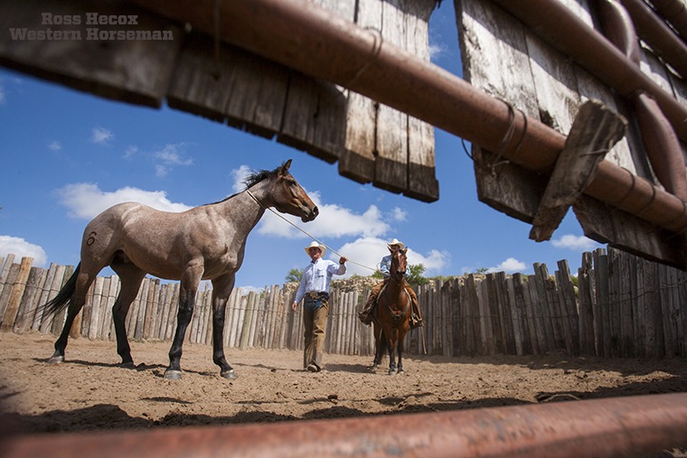 Have I mentioned that I love wide-angle lenses? I was on the Hitch Ranch in Oklahoma nine years ago, and cool photo scenes were unfolding everywhere. Here, Buster Holland eases up to a young bronc while Todd Adams holds it steady. The crew rode several green colts in the bronc pen that morning while I lay on the ground and pointed my lens underneath the gate. The article on the Hitch Ranch ran in the April 2008 issue.