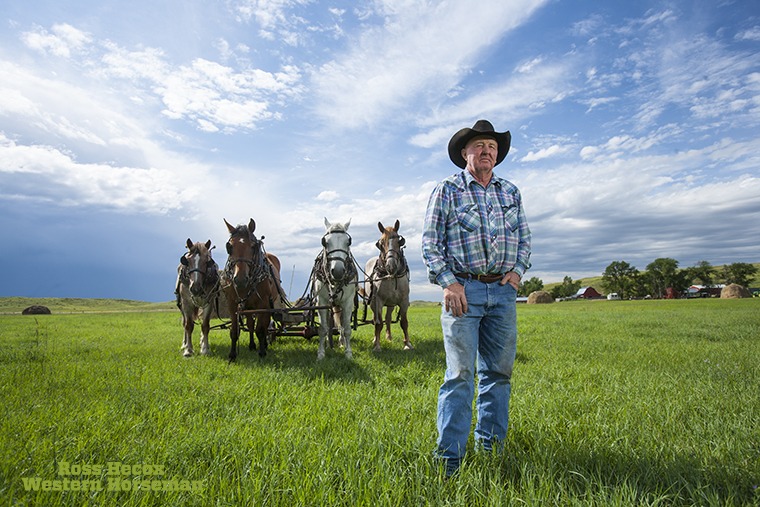 This is one of my favorite portraits. I met Buck Buckles in 2008. He lives in northwestern Nebraska and stacks and feeds hay with his team of horses. He is passionate about his Percherons, and they seem to enjoy working for him. In March of 2009, we