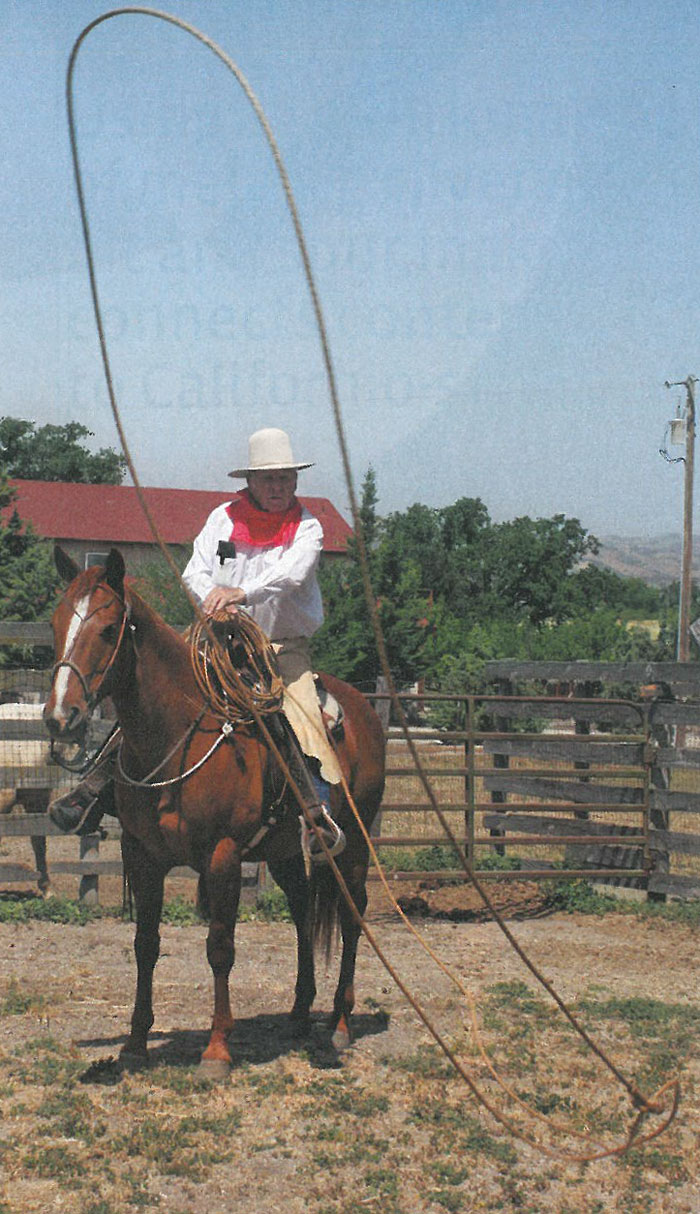 AVaquerosHorse