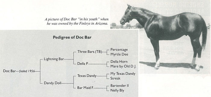 DB pedigree