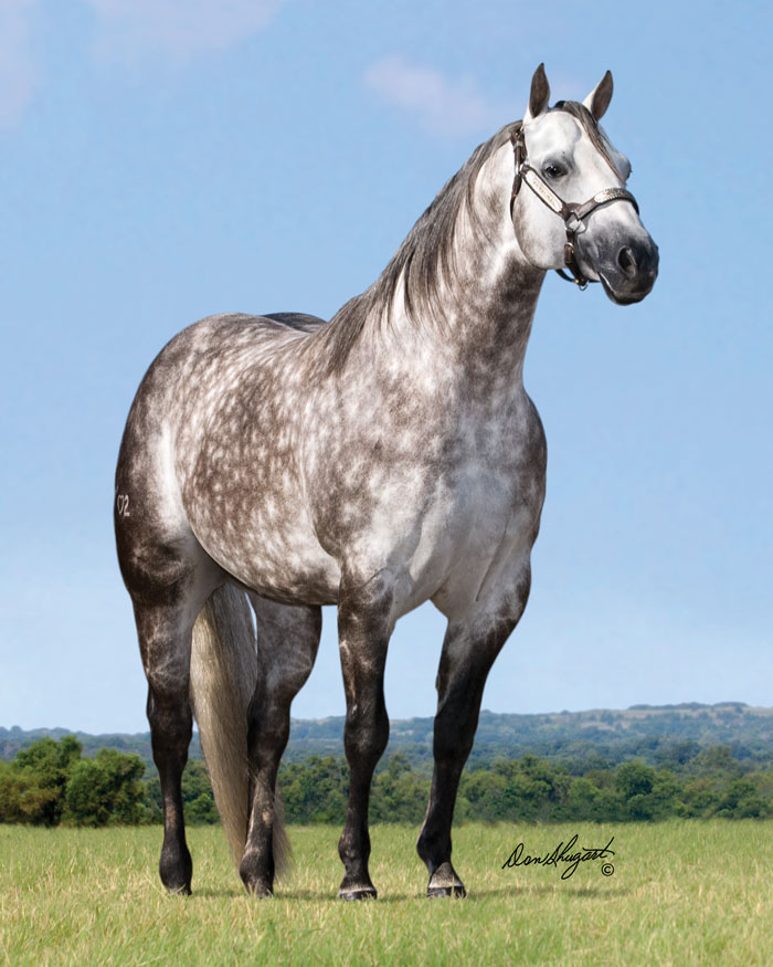 GREYT-WHIZ