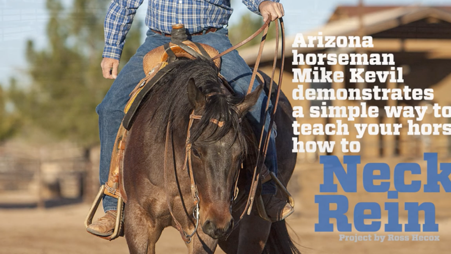 neck reining