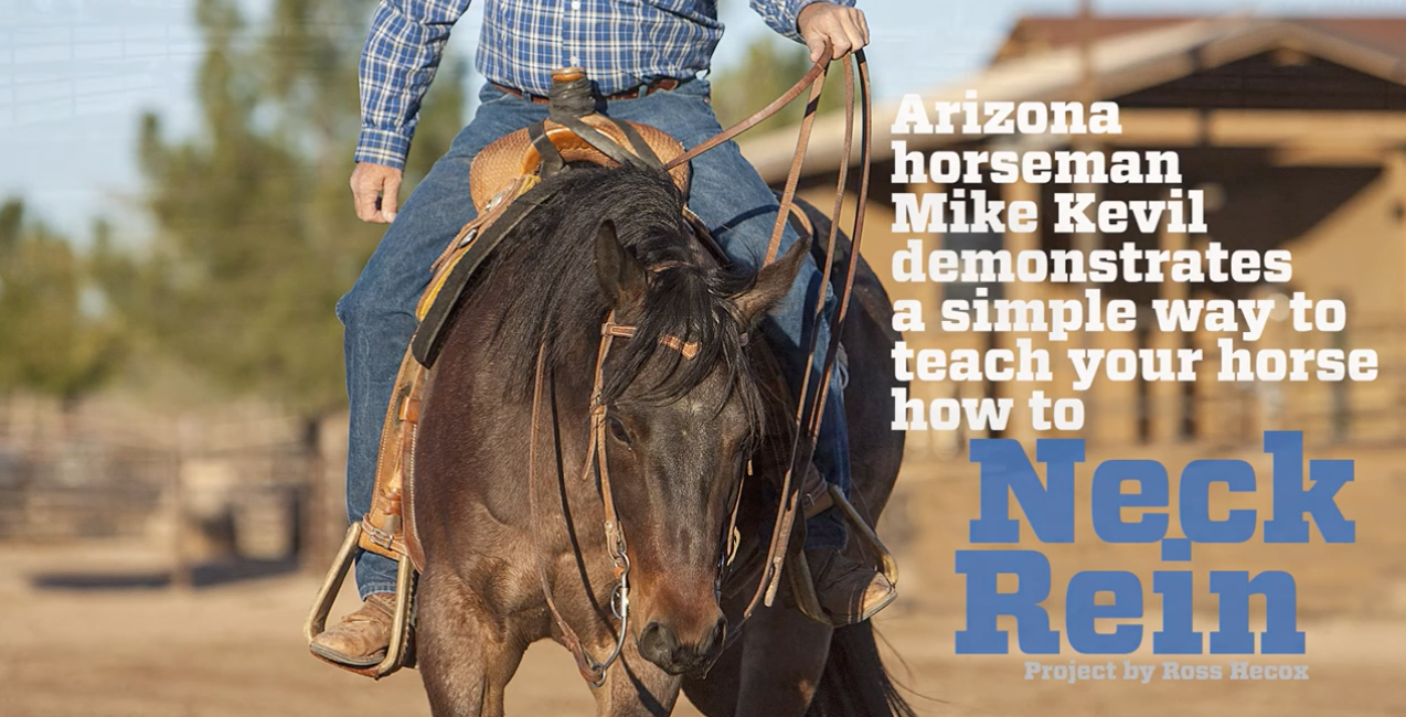 neck reining