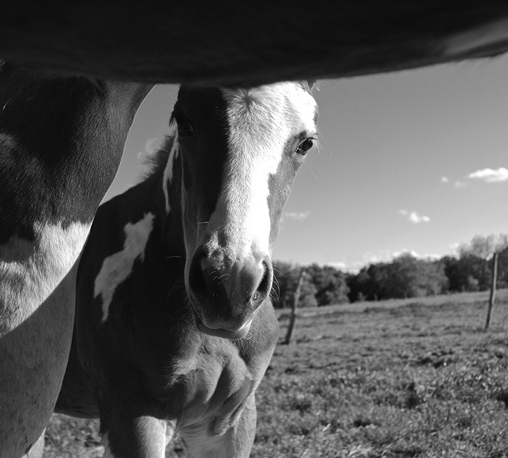 Photo by Kelli Neubert