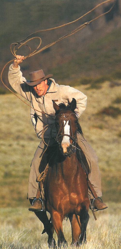 Bell Gaucho