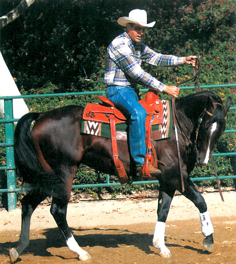 RWinters QuickTip