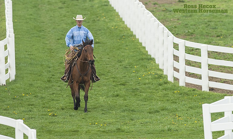 Frank Dominguez rides a young Thoroughbred colt at Calumet Farm in Lexington, Kentucky. Despite working on ranches throughout the Great Basin, the buckaroo was hired for several springs by the historic Thoroughbred farm to start its racehorses. The story appeared in the August 2008 issue of Western Horseman.
