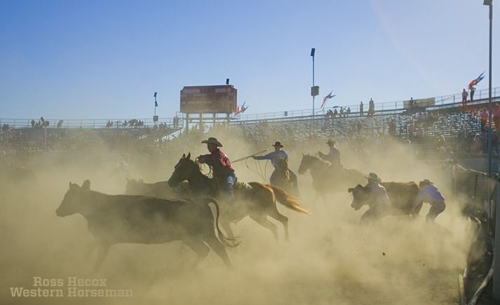 For more than 100 years, the rough-and-tumble nature of rodeo has been the sport's biggest draw. In addition to offering traditional events, such as bareback riding, barrel racing, team roping and steer wrestling, many rodeos also offer unique events like wild cow milking. I shot this image in the arena with my wide angle lens. It's one thing to watch an event from the safety of the stands, but it gives you an entirely different sensation in your gut when you're at ground zero and a wild cow comes running at you with that certain look in her eye. Fortunately she turned right before I shot this.