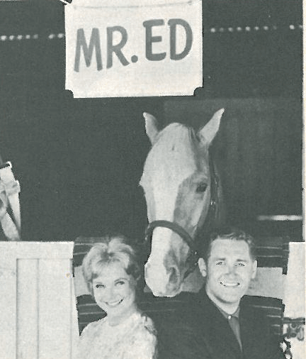 Mr. Ed