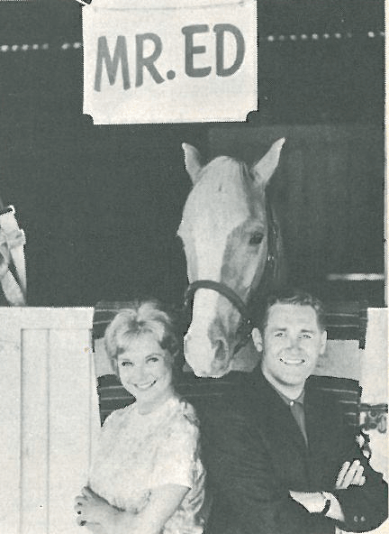 Mr. Ed