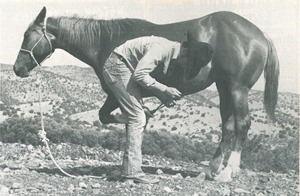 shoesyoungfilly