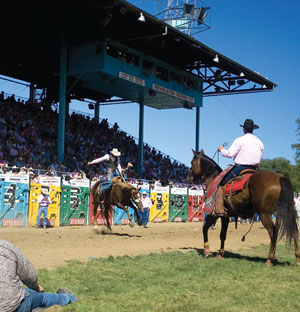 Pendleton
