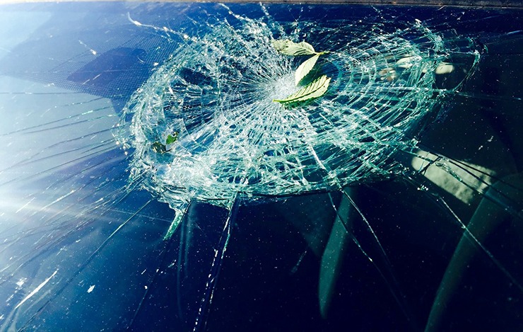 The storm did about $5,000 damage to the rental car I was driving, but that was nothing compared to the millions of dollars lost in damaged crops and equipment.