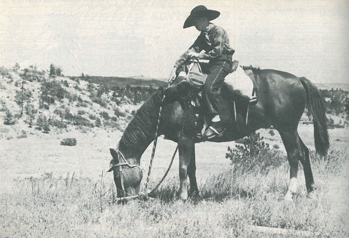 Little Joe the Wrangler