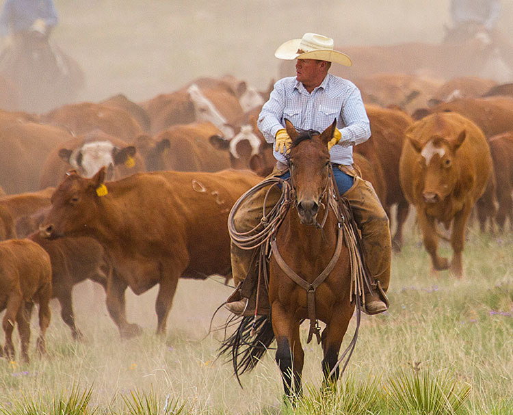 120601 bellranch 186