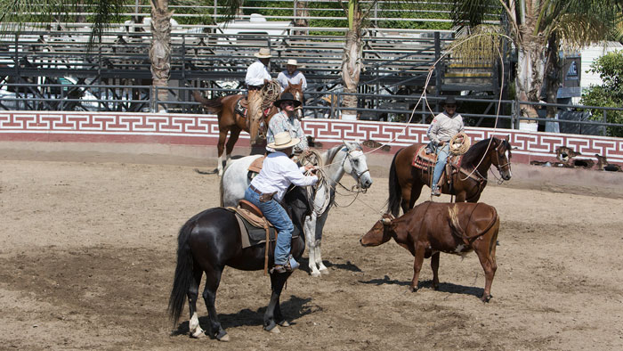 Tomas Garcilazo clinic 4