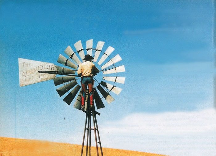 checkingwindmill web