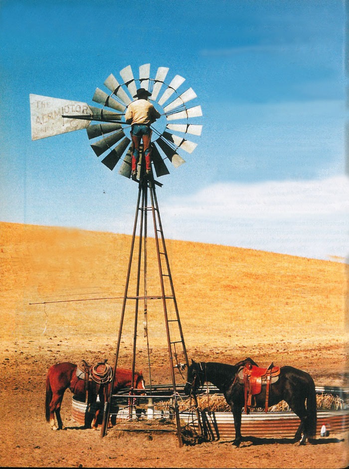 checkingwindmill web