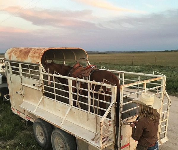You’re not a true ranch horse until you’ve travelled in a half-top trailer.