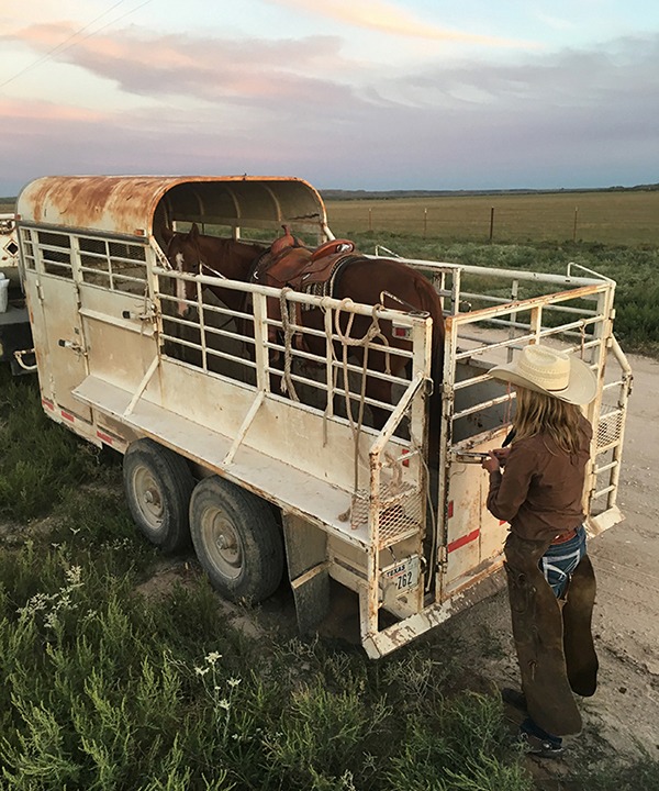 You’re not a true ranch horse until you’ve travelled in a half-top trailer.