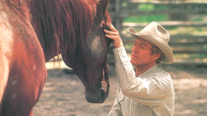 Robert Redford petting horse pilgrim in The Horse Whisperer