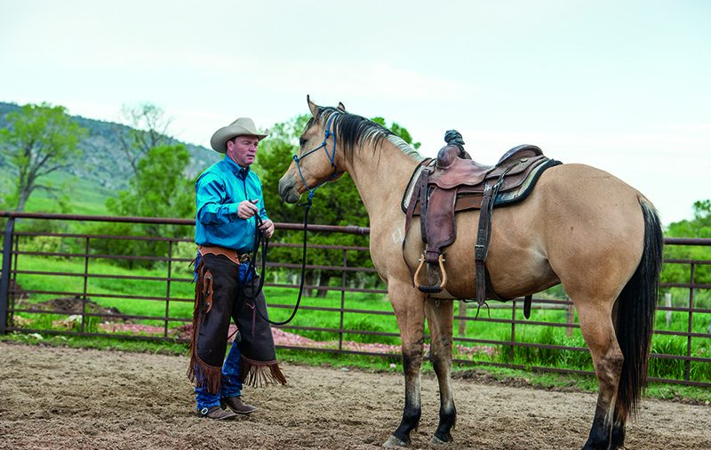 SilvertipFullHorse