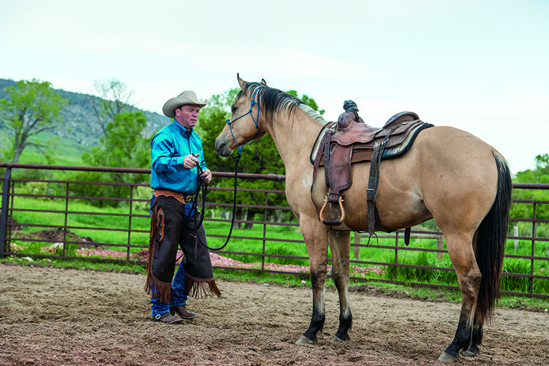 SilvertipFullHorse