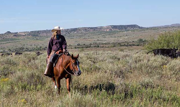 Spade Ranch kf 263