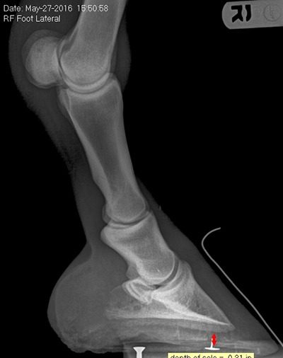 XRayBeforeShot