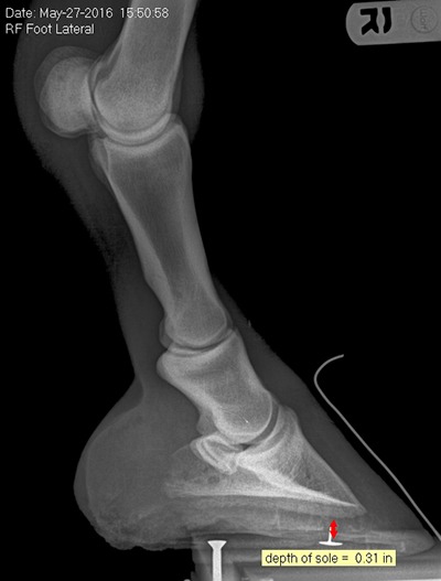 XRayBeforeShot