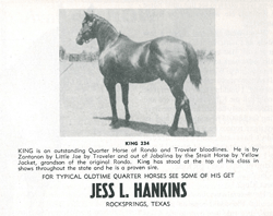 A look at one of the Quarter Horse foundation sires King P-234 and the man who bought him for $800 during the Depression.