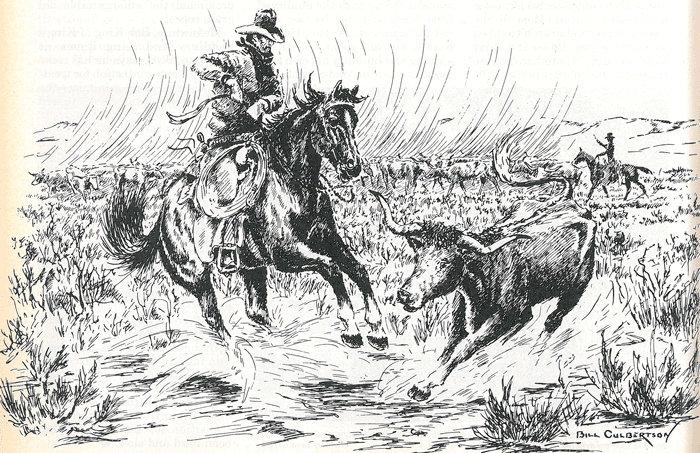 Culbertson Illustration