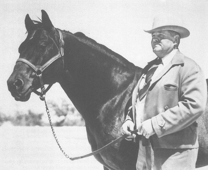 A look at one of the Quarter Horse foundation sires King P-234 and the man who bought him for $800 during the Depression.