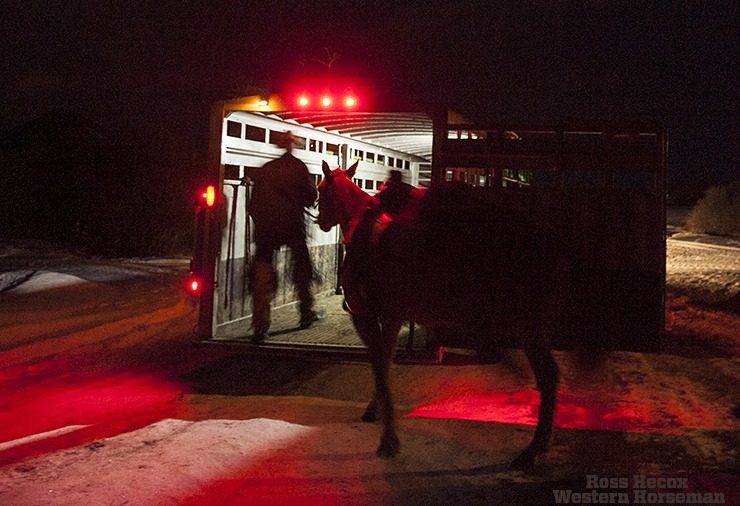 Rich Roth loads one of the IX Ranch horses before sunrise.
