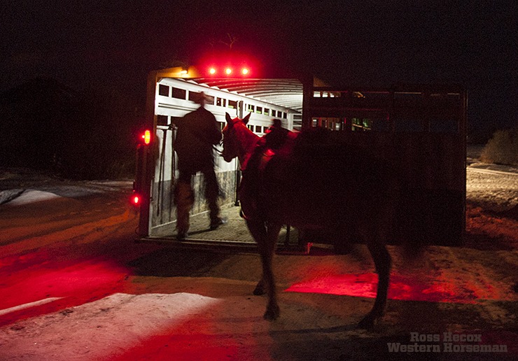 Rich Roth loads one of the IX Ranch horses before sunrise.