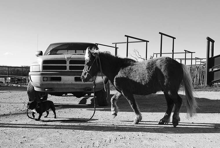 Little critters of all types might be crossing the driveway, so please drive slowly. Photo by Kelli Neubert.