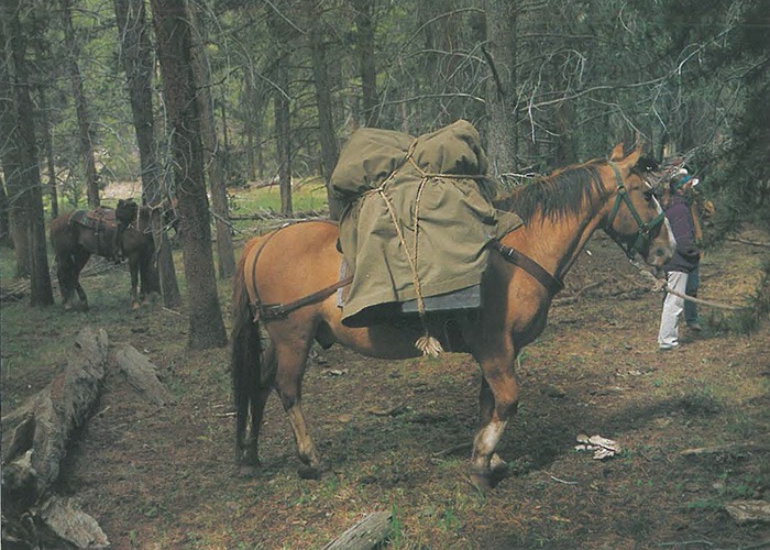 Enjoy the outdoors on your next horseback trip without damaging the environment with these leave-no-trace guidelines.