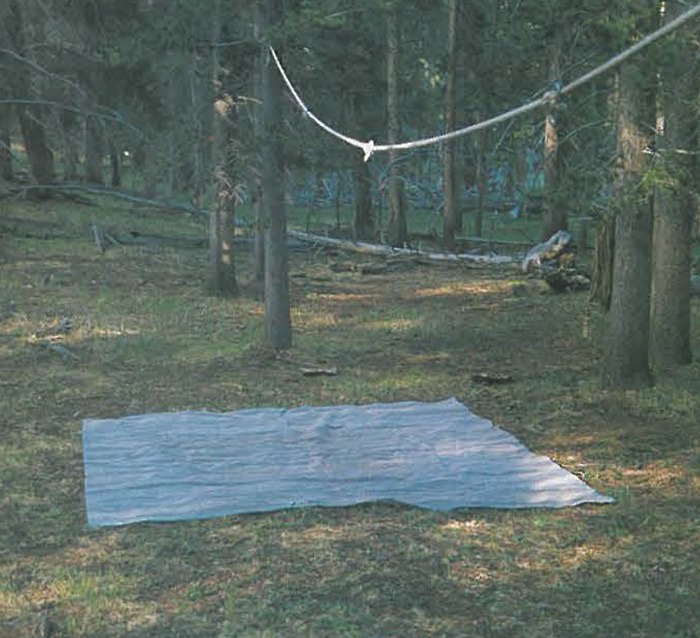 Enjoy the outdoors on your next horseback trip without damaging the environment with these leave-no-trace guidelines.