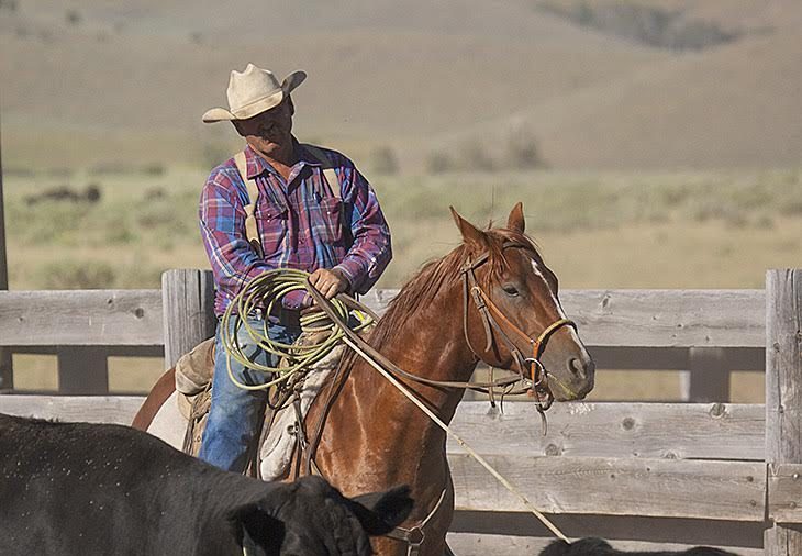 MonteFunkhouser