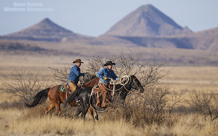080107 bigbend062