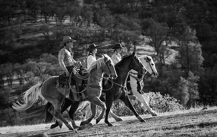 Photo by Laurie Thompson