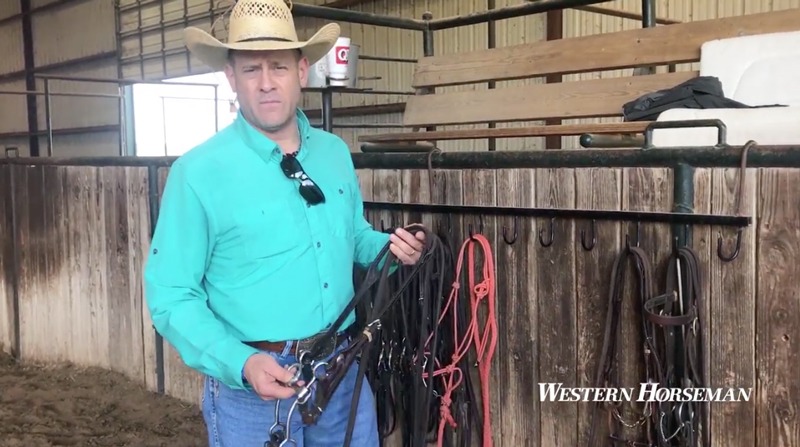 Phil Rapp bridle tools of the trade